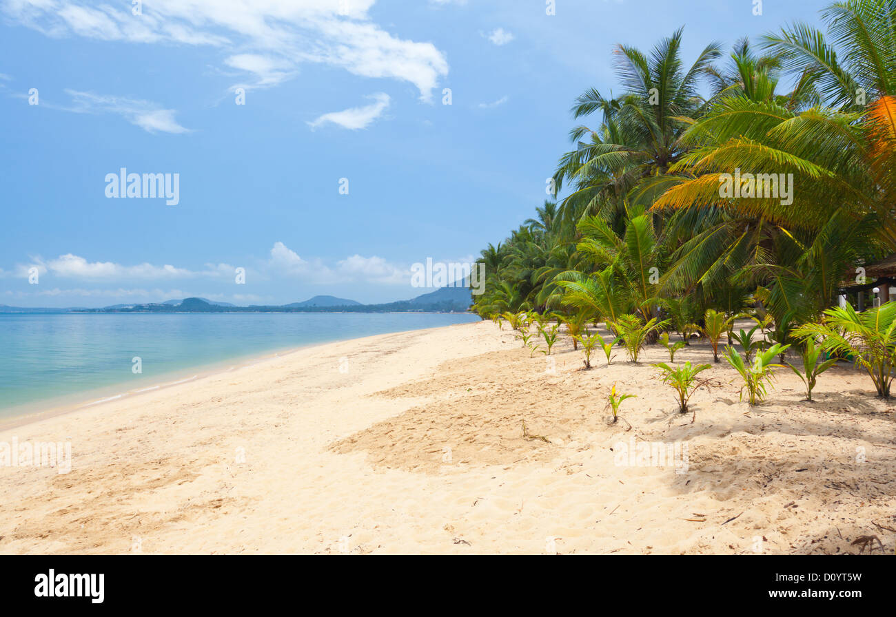Tropical beach clear sky blue hi-res stock photography and images - Alamy