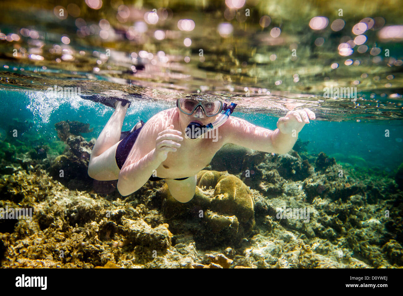 Snorkeler Stock Photo