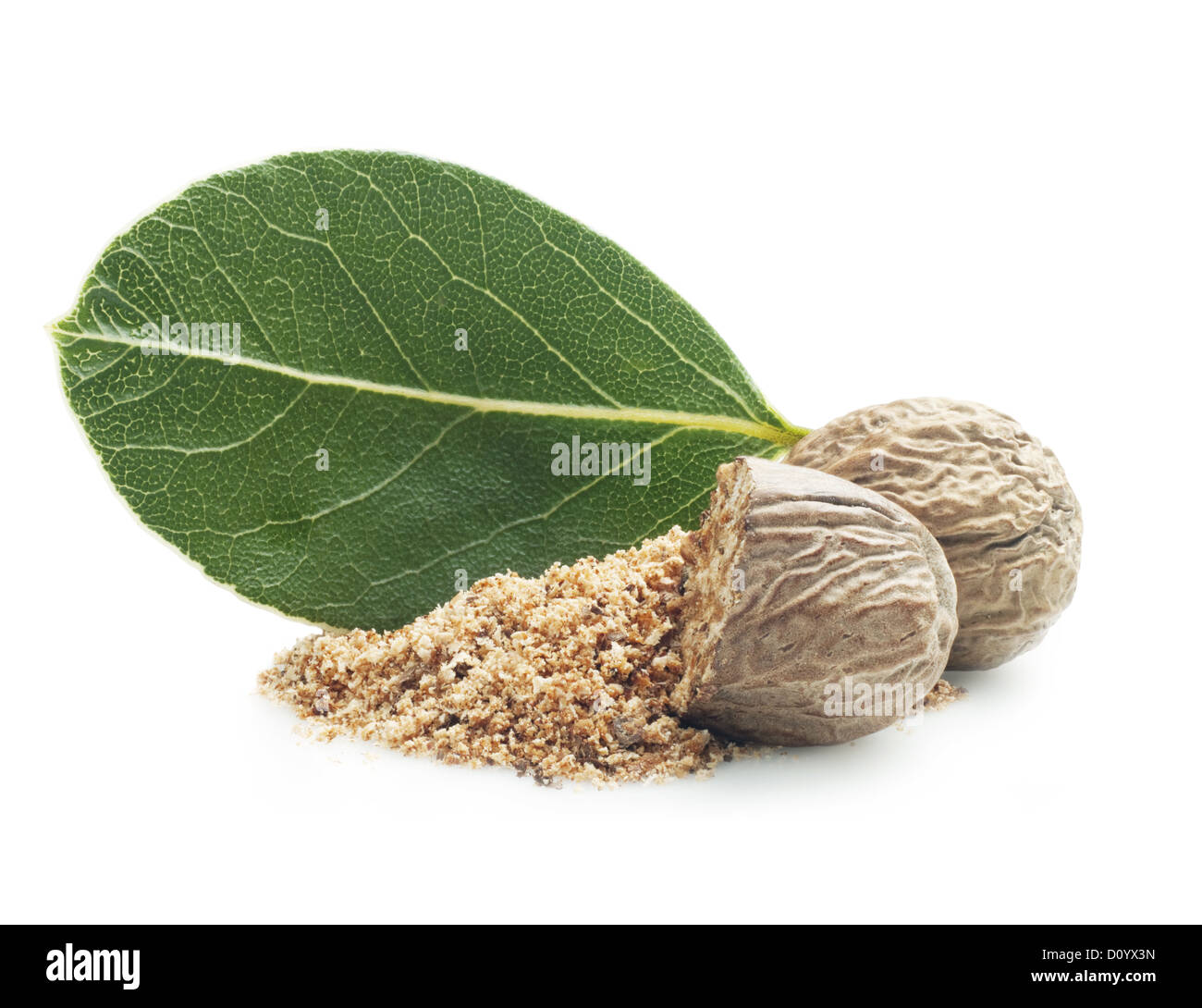 nutmeg Stock Photo