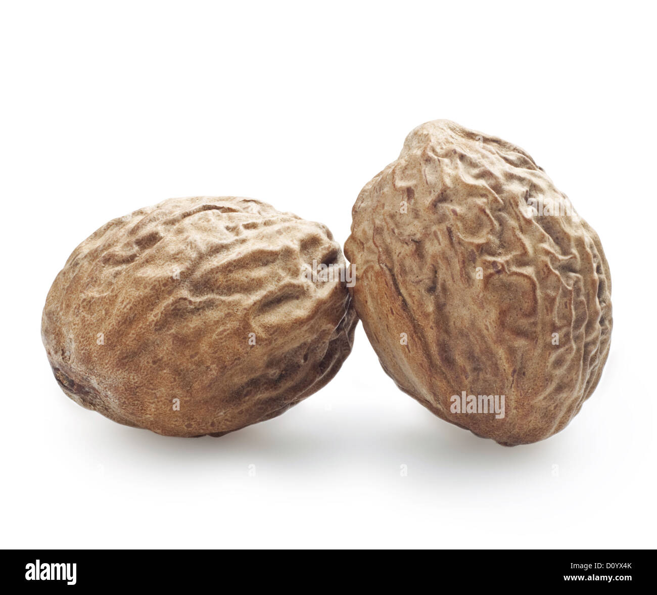 nutmeg Stock Photo