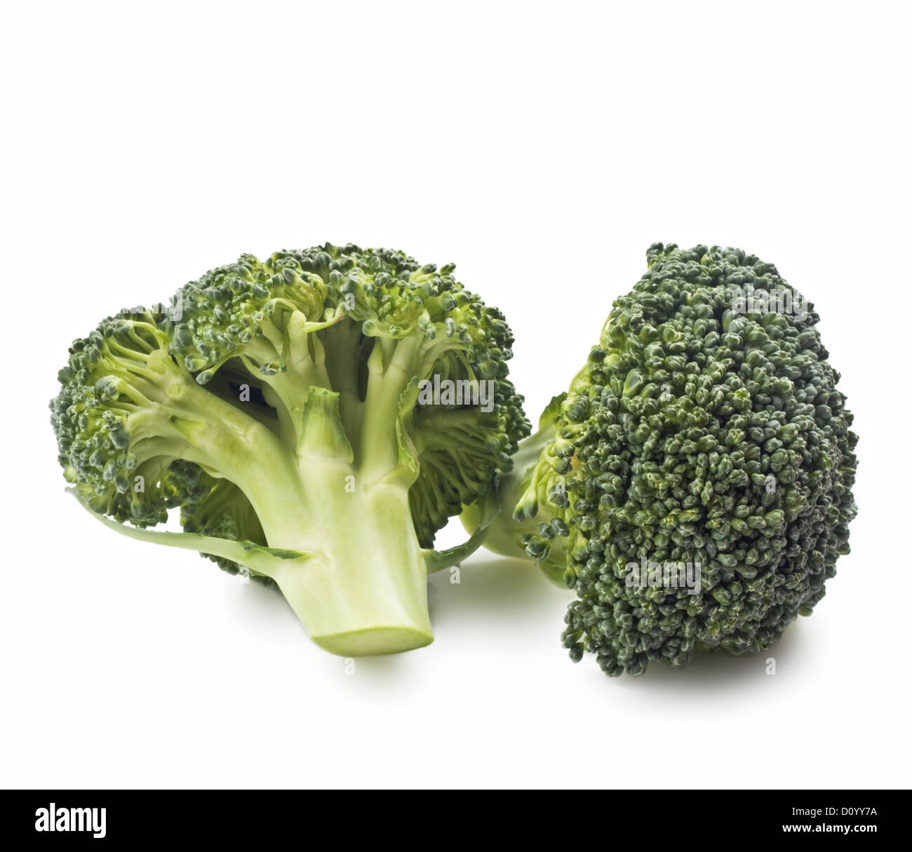 Broccoli cabbage inflorescence Cut Out Stock Images & Pictures - Alamy