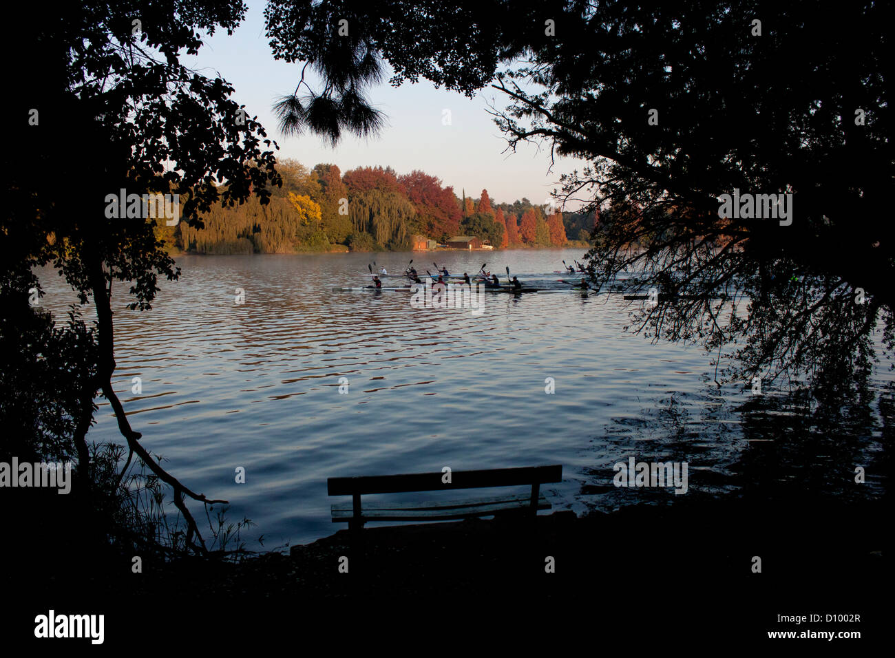 Rowers in kayaks on lake in autumn Africa Stock Photo