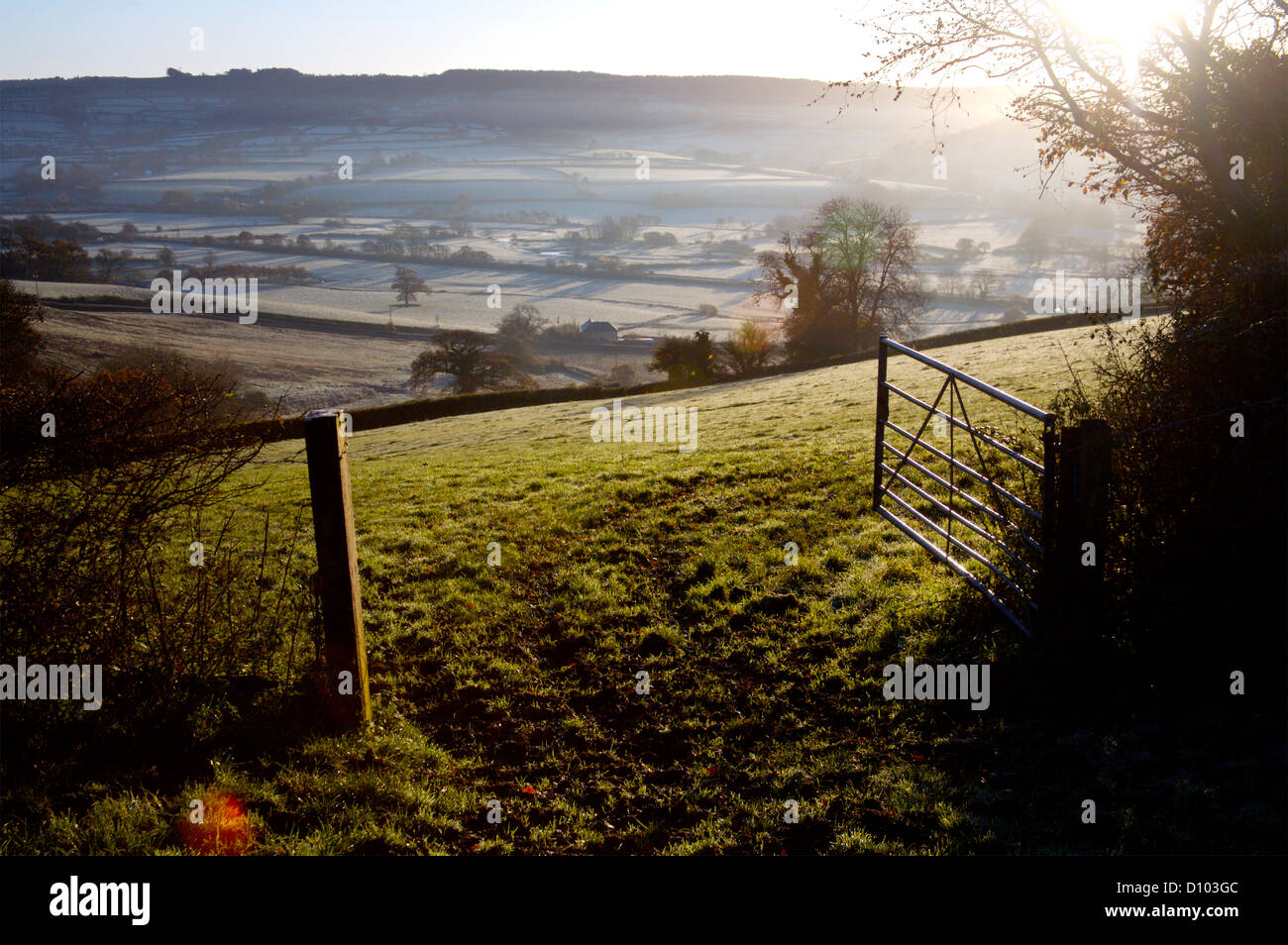 Axe valley, near Kilmington village, Devon, misty winter morning Stock Photo