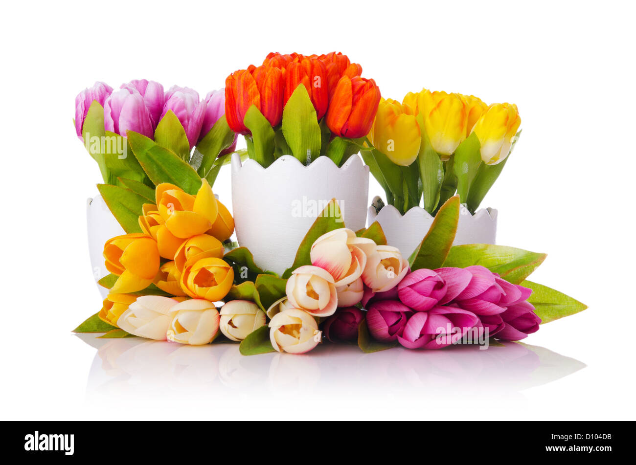 Tulips flowers isolated on the white Stock Photo - Alamy
