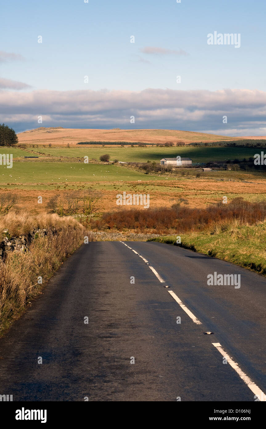 Dartmoor road, Granite Dartmoor wall,moss growing on Granite Dartmoor