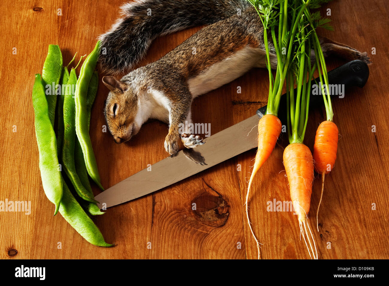 Squirrel meat hi-res stock photography and images - Alamy