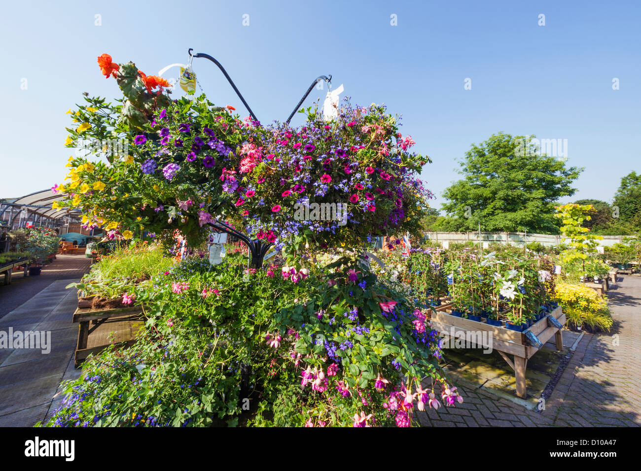 England, Hampshire, Romsey, Hillier Garden Centre Stock Photo Alamy