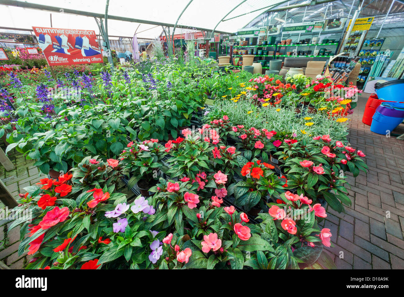 Hillier garden centre hires stock photography and images Alamy