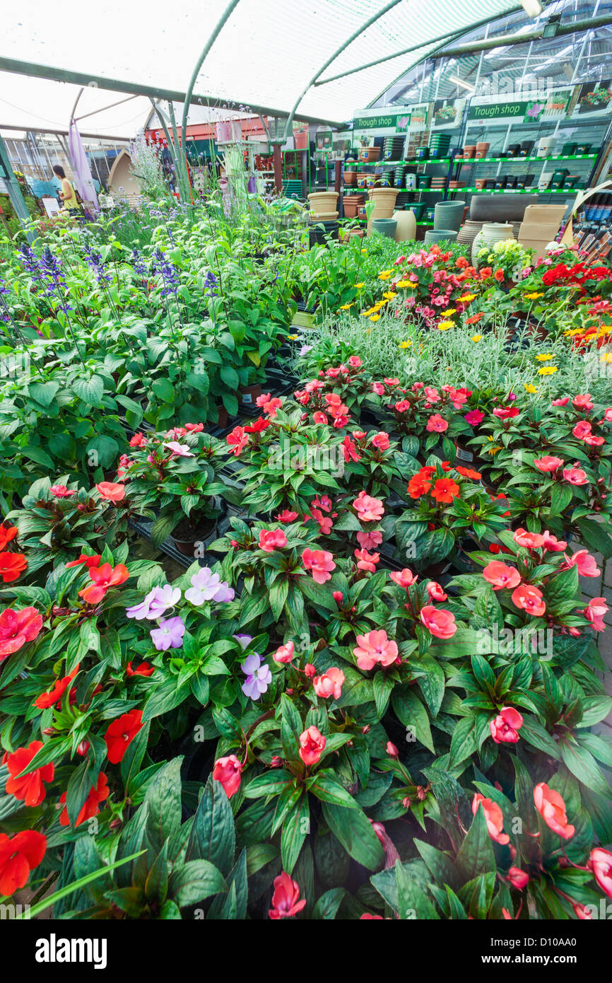 Hillier garden centre hires stock photography and images Alamy