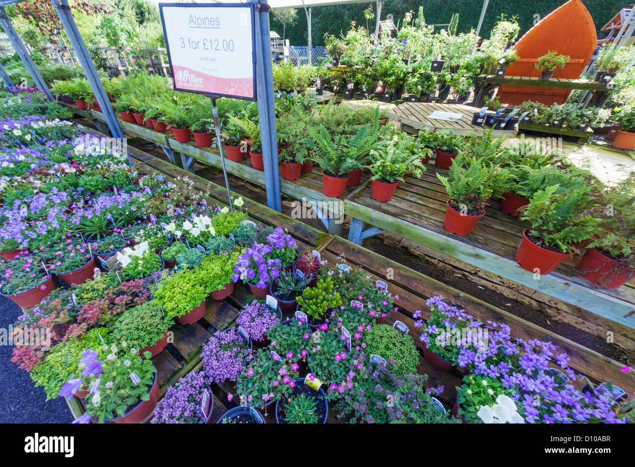 Hillier garden centre hires stock photography and images Alamy