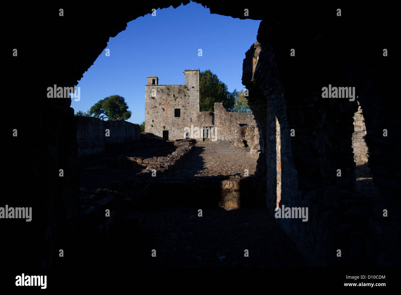 The ruins of the Tower House in the 13th Century Priory of St John the Baptist, Trim, County Meath, Ireland Stock Photo
