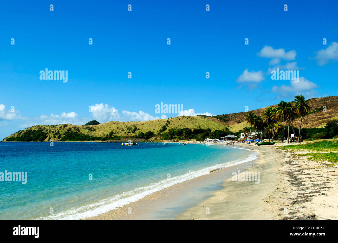 Seaweed Beach St Kitts Stock Photo