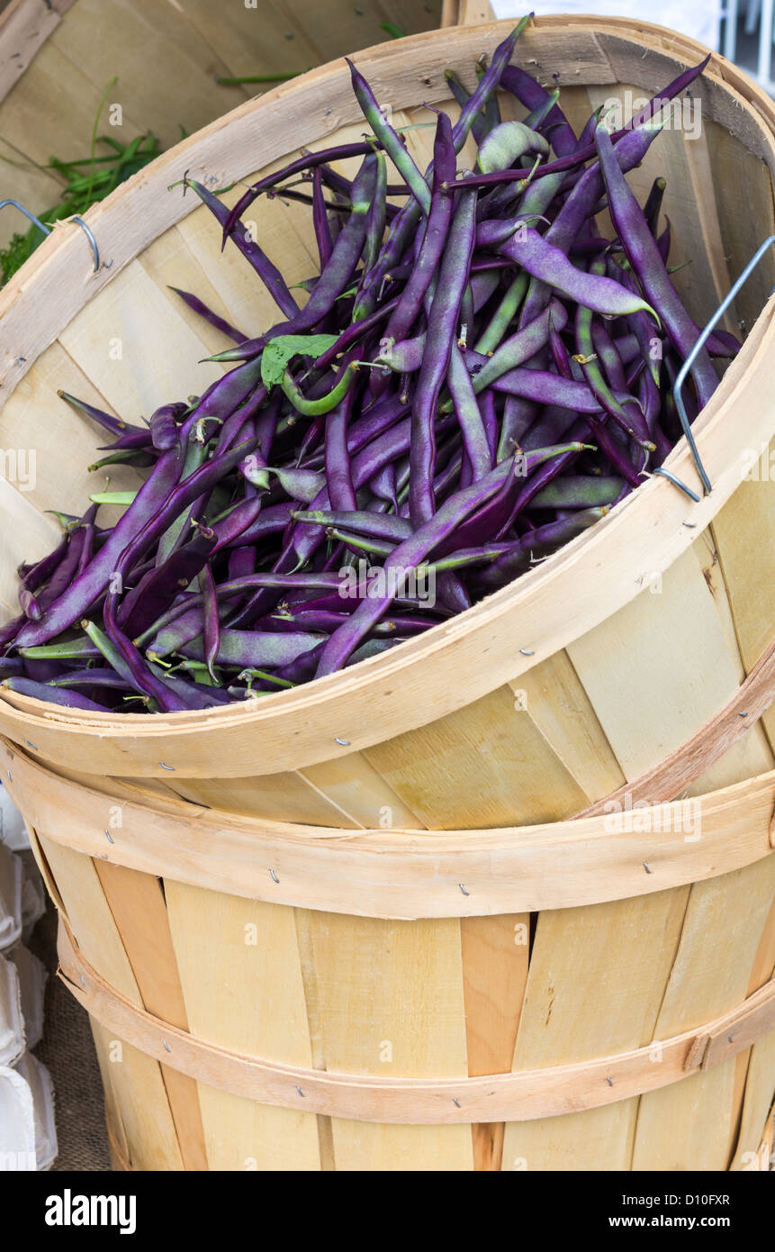 Wooden basket display of purple beans at the market Stock Photo