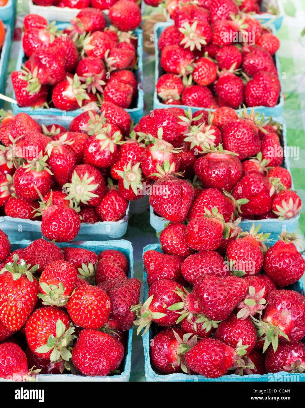 Farmers with strawberries hi-res stock photography and images - Alamy