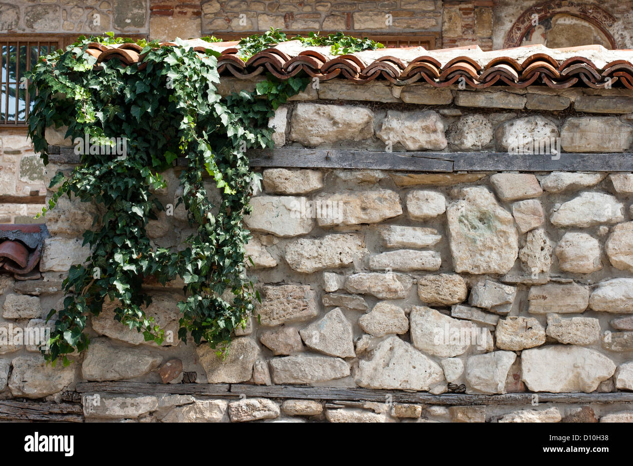 A Ivy climbing the old wall of hard stones Stock Photo