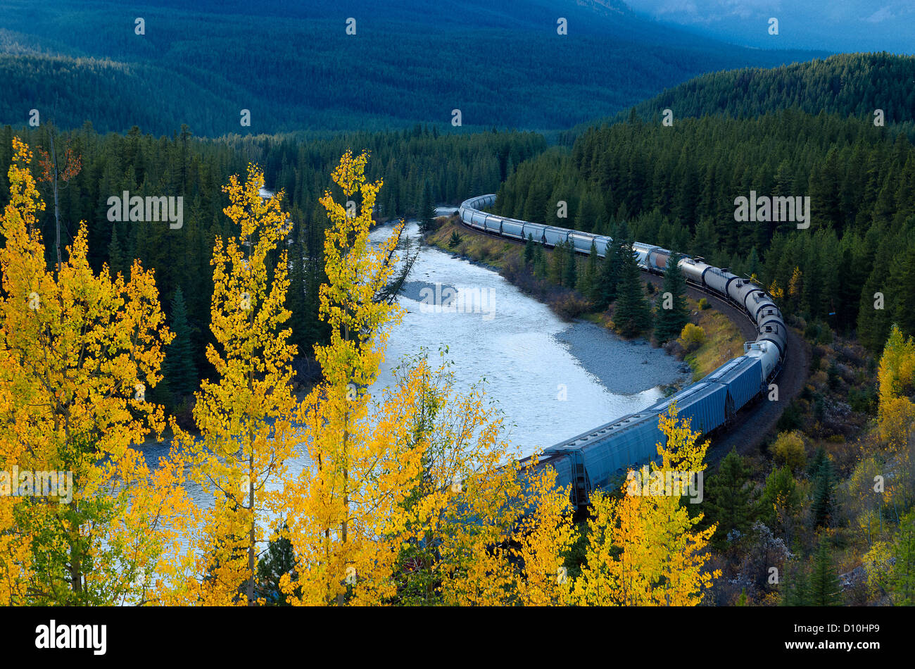 Freight train at Morant's curve, Banff National Park, Alberta, Canada Stock Photo