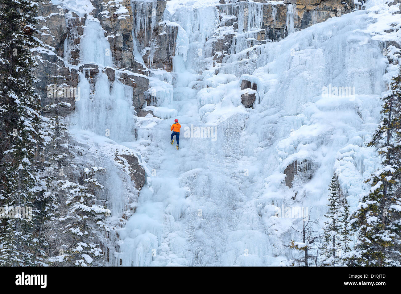 Ice climber on frozen Tangle Falls, Jasper National Park, Alberta, Canada Stock Photo