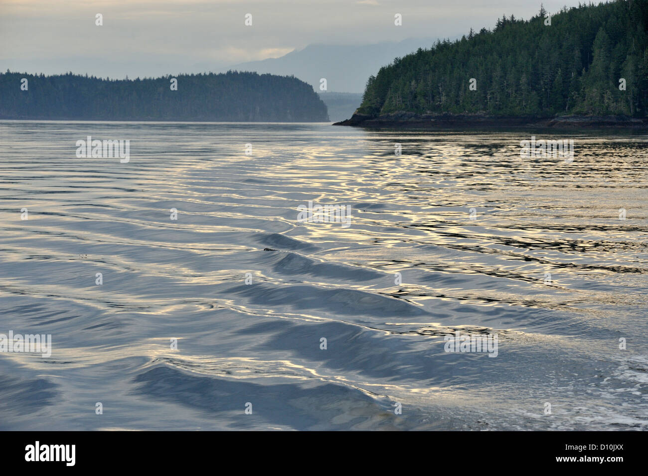 Blackney Passage, near Hanson Island, British Columbia BC, Canada Stock