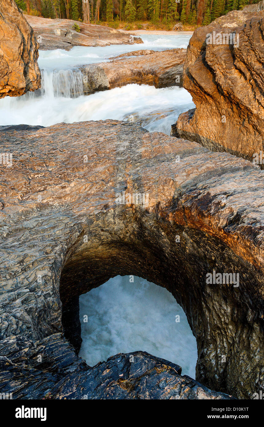 Yoho national park hi-res stock photography and images - Alamy