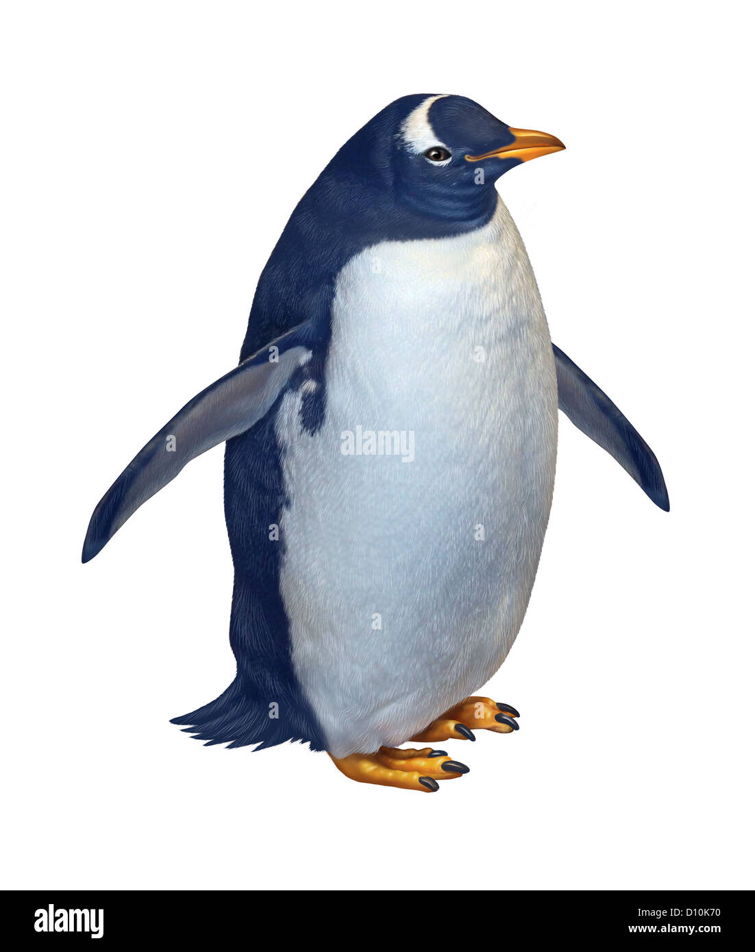 Penguin isolated on a white background as a wildlife nature and conservation symbol of arctic birds living in the south or north pole. Stock Photo