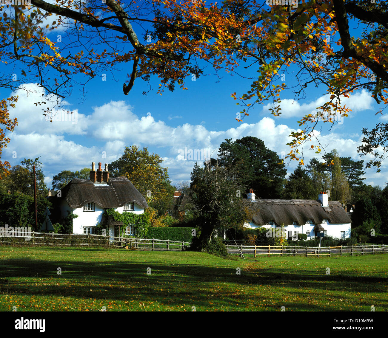 New forest hamlet hires stock photography and images Alamy