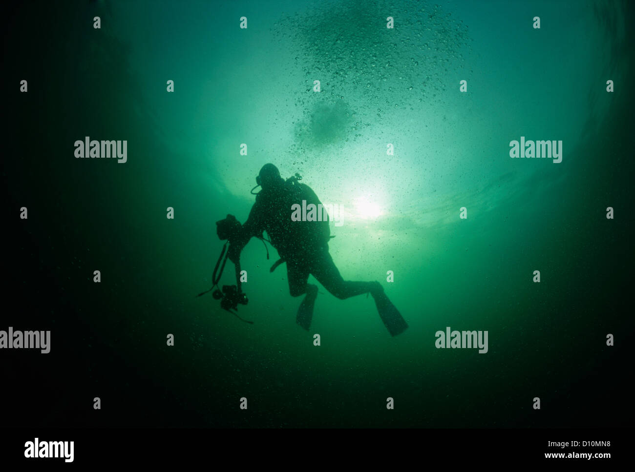 Technical Diver in dry suit exploring Emerald Sea. Vancouver Island,  British Columbia, Canada, Pacific Ocean Stock Photo - Alamy