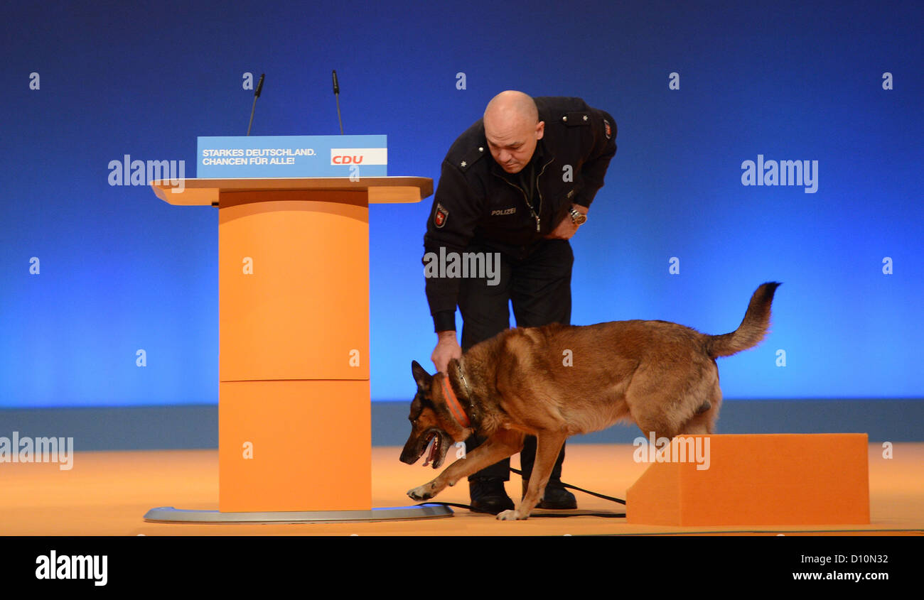 Police officer and his dog inspect the speaker's desk prior to Christian Democrats party meeting in Hanover, Germany, 04 December 2012. The federal party meeting will take place from 3 until 5 December 2012. Photo: Jochen Luebke Stock Photo