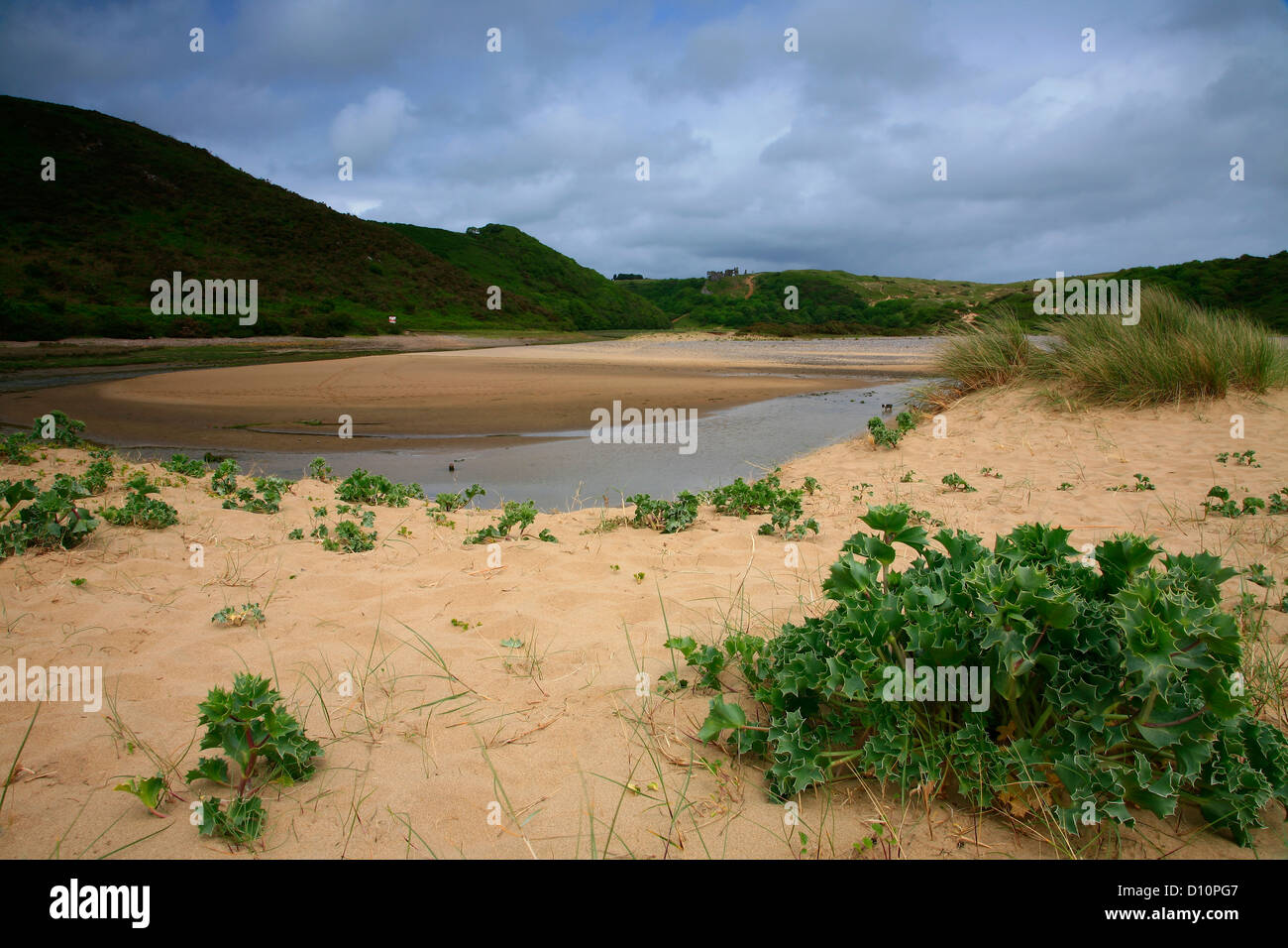 Three Cliffs Bay Gower Peninsula Swansea Wales Stock Photo Alamy