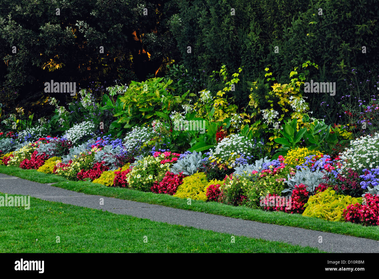 Beacon Hill Park in late summer at dawn, Victoria, British Columbia BC, Canada Stock Photo