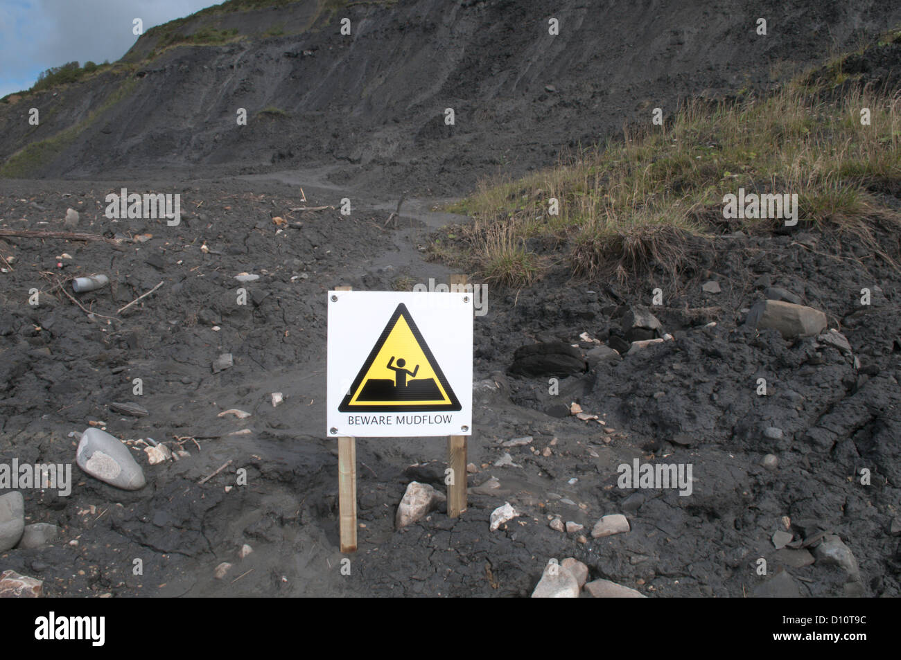 Mudflow from unstable cliffs around Charmouth and Lyme Regis, Dorset/Devon border, UK. Fossil rich coast and shoreline. July. Stock Photo