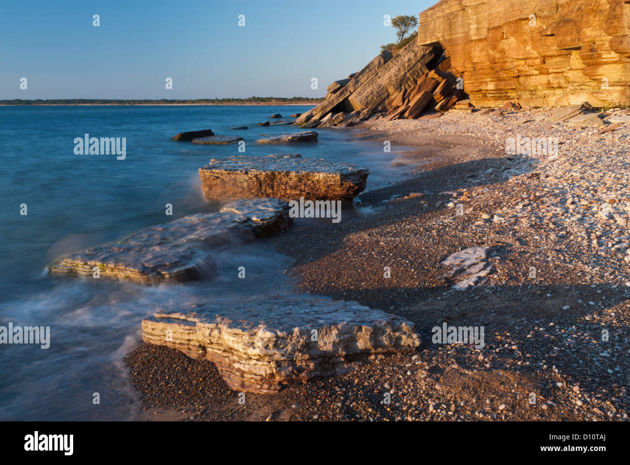 Coastline with stones and a cliff. A lonely tree. Stock Photo