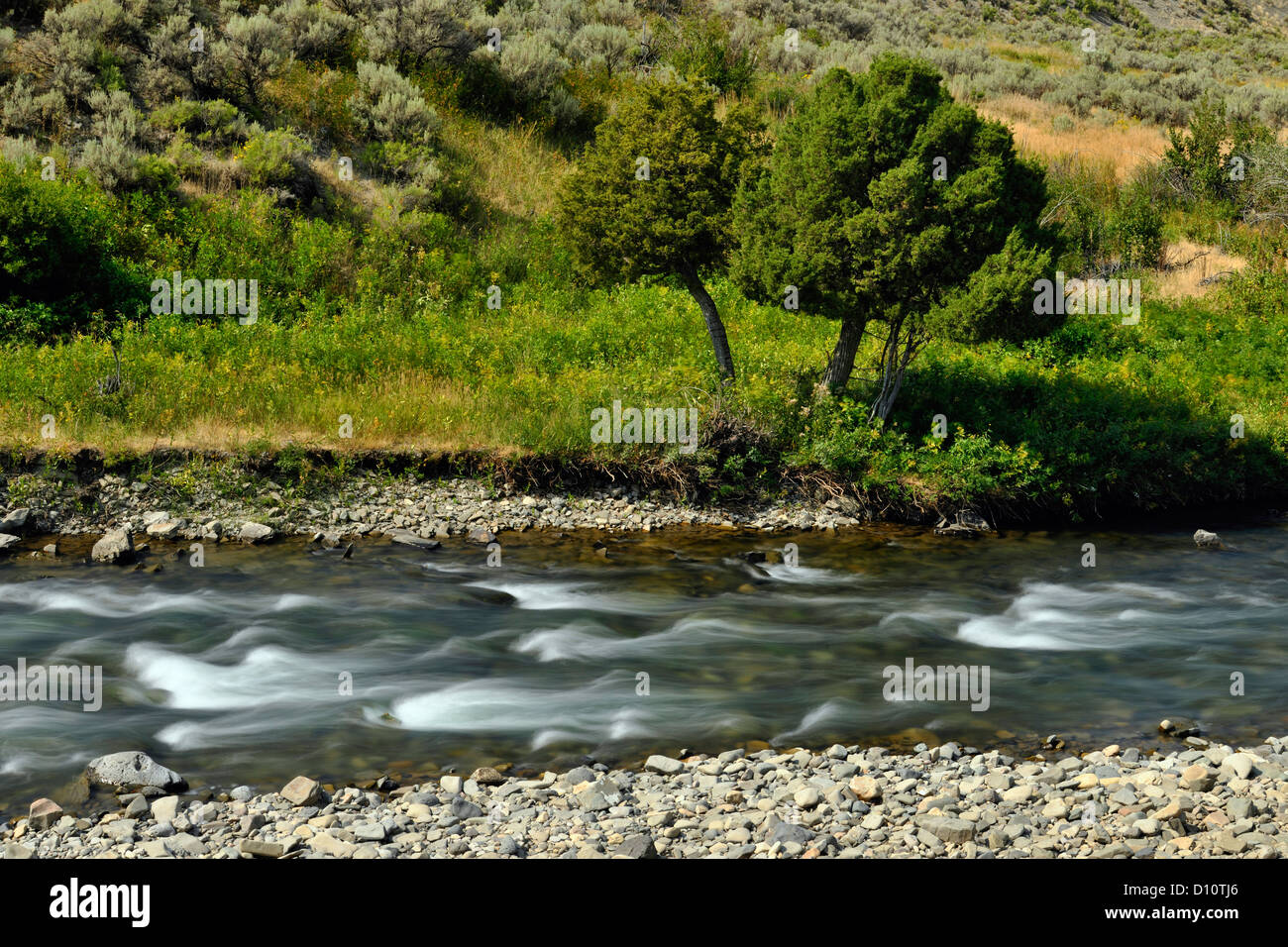 Rapids in the Gardner River, Yellowstone NP, Wyoming, USA Stock Photo