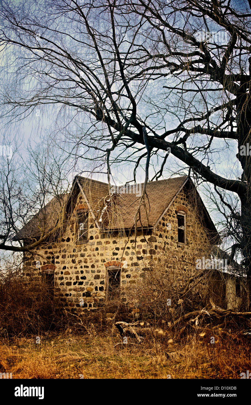 Small abandoned house in the woods at sunset Stock Photo Alamy