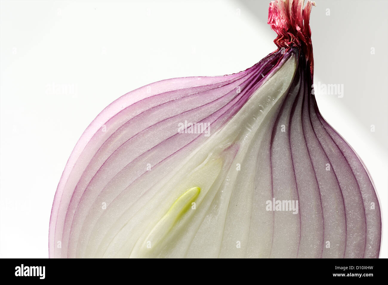 Detail of a onion Stock Photo