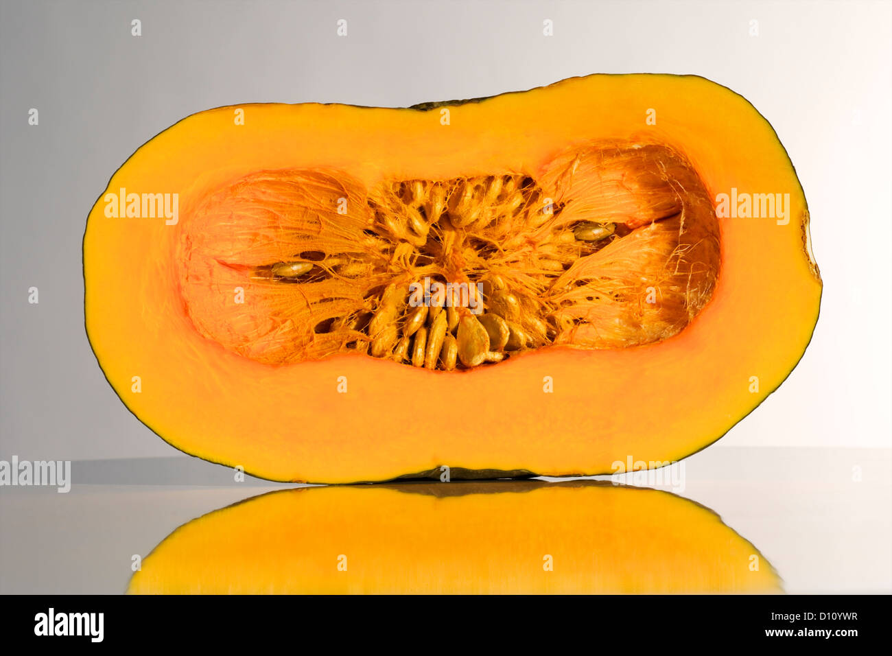 Detail of a squash (gourd family) cut in half Stock Photo