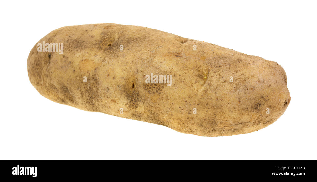 A large russet potato on a white background. Stock Photo
