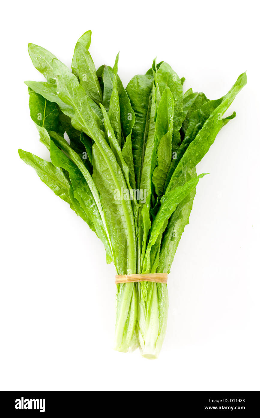 A bundle of lettuce Stock Photo Alamy