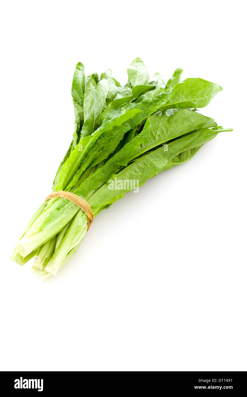 A bundle of lettuce Stock Photo Alamy