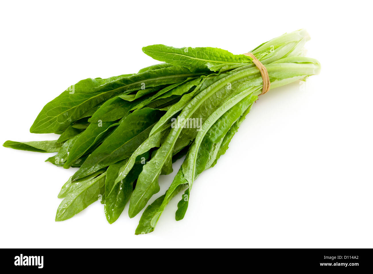 A bundle of lettuce Stock Photo Alamy