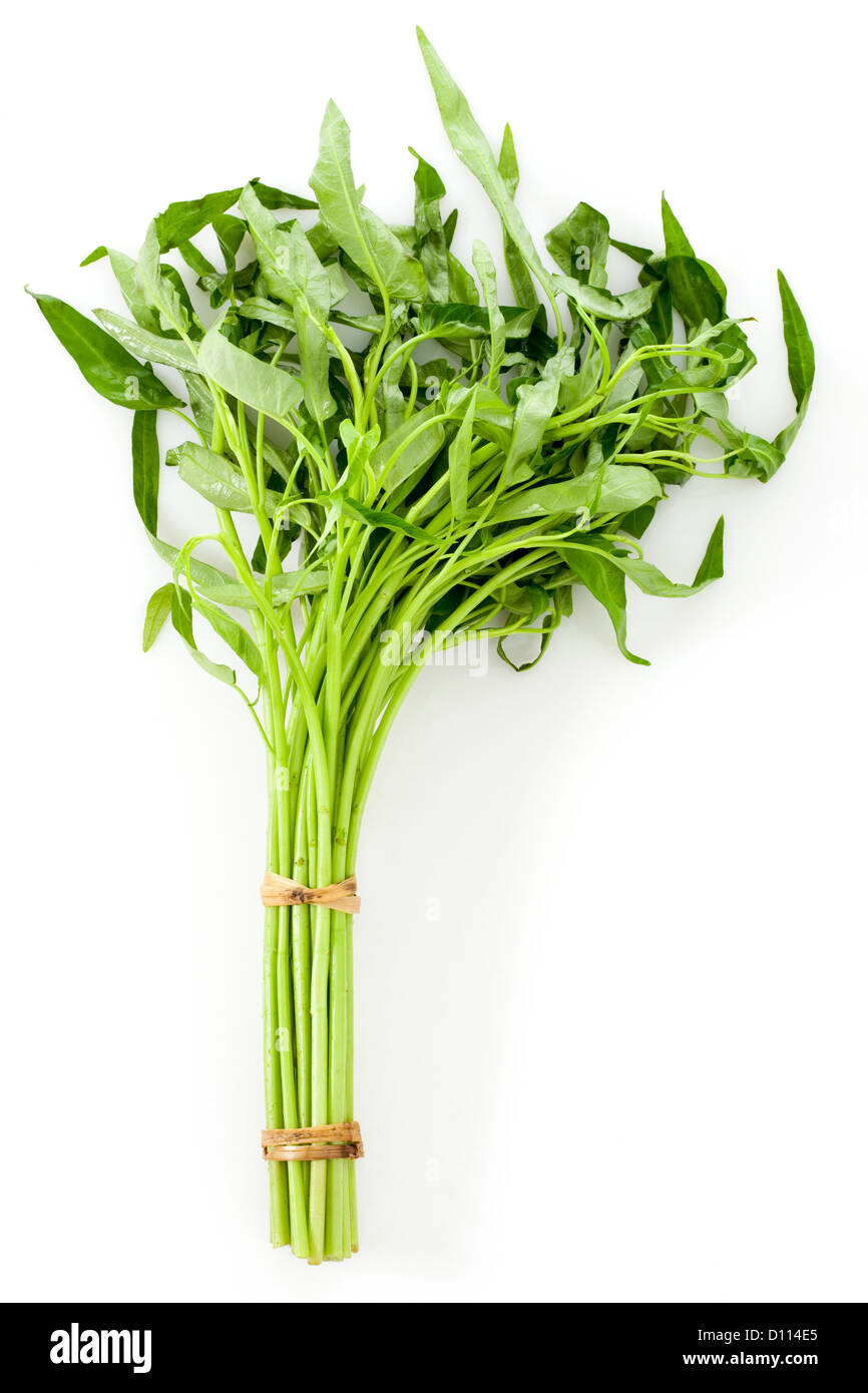 A bundle of water spinach Stock Photo Alamy