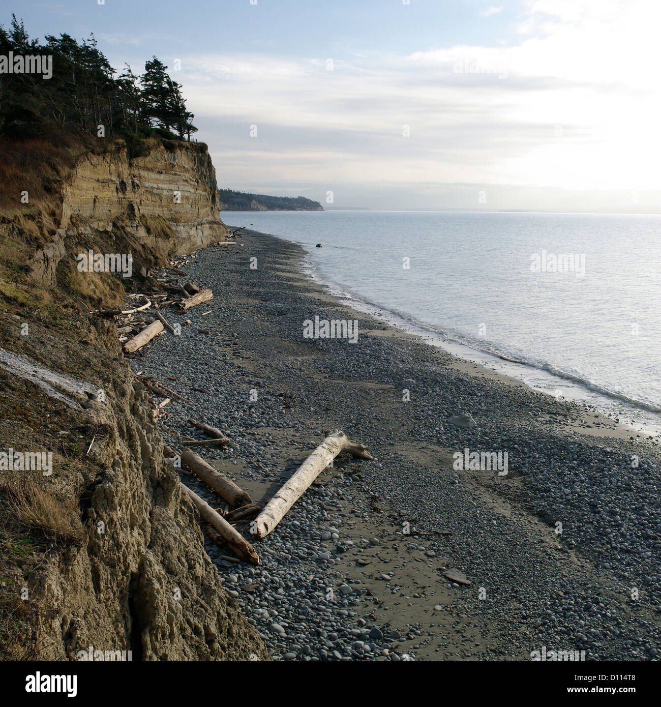 The shoreline of West Beach on Whidbey Island, Washington, USA recedes towards the horizon on a sunny late afternoon. Stock Photo