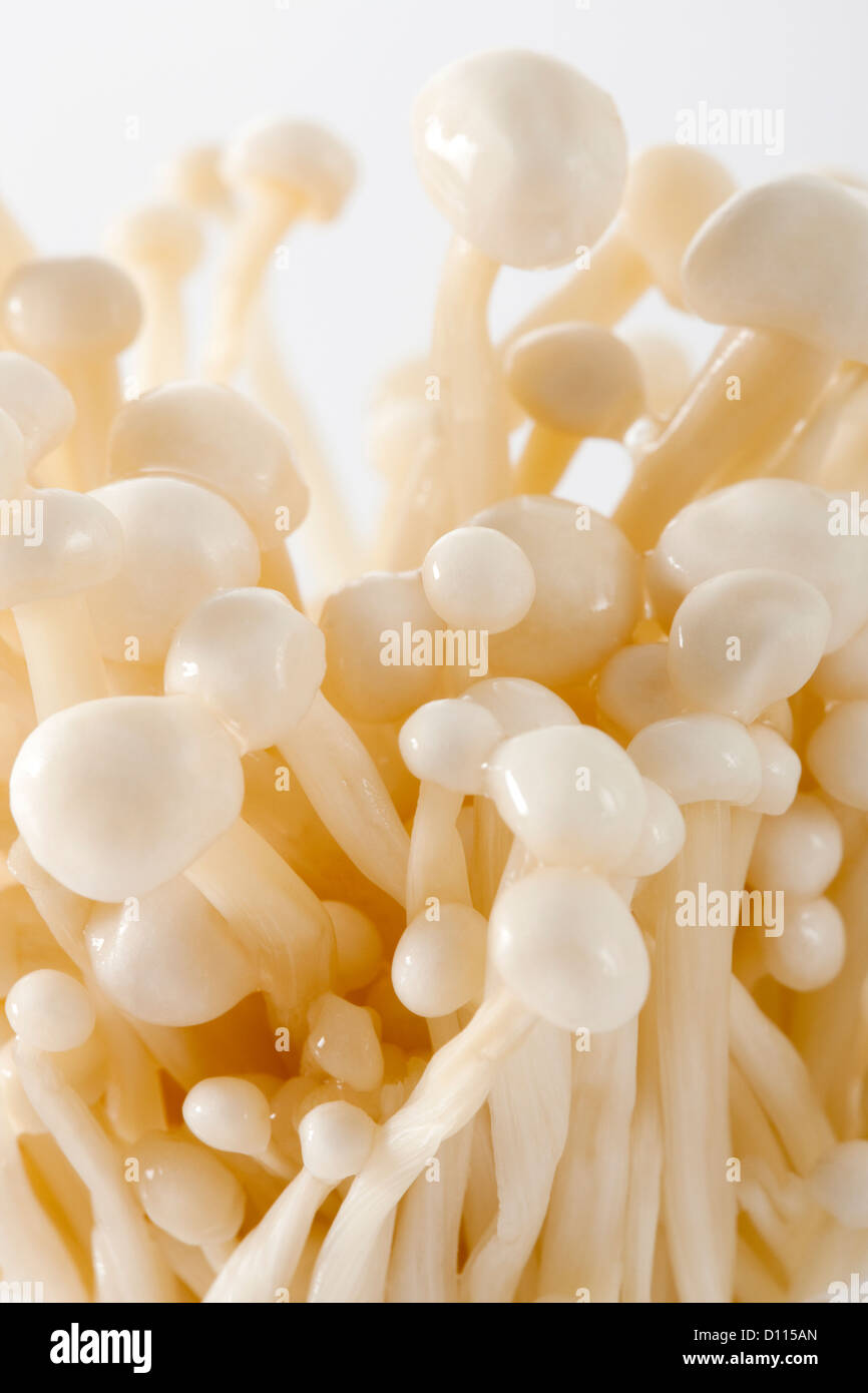 Fresh enoki mushrooms Stock Photo - Alamy
