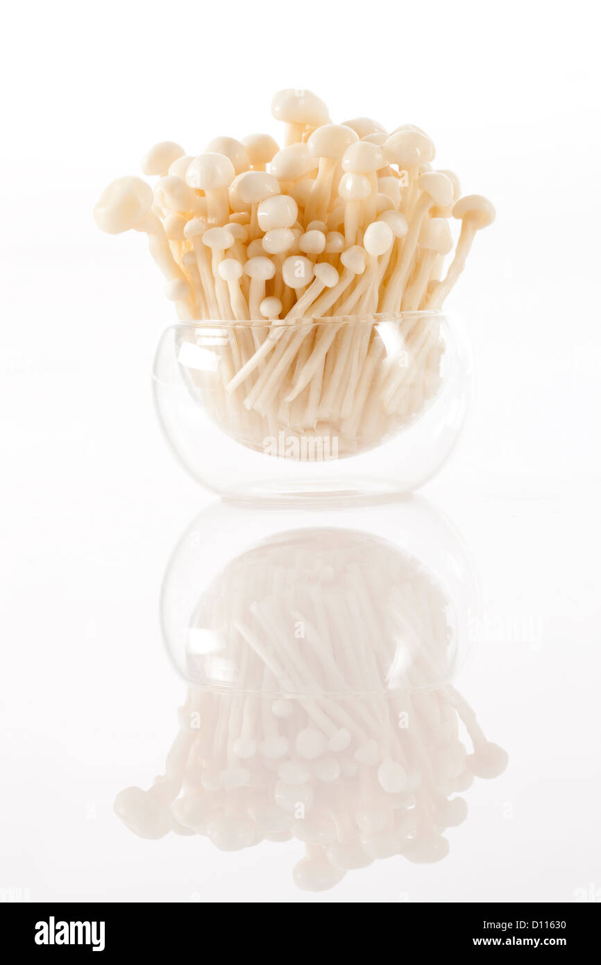 Fresh enoki mushrooms Stock Photo - Alamy