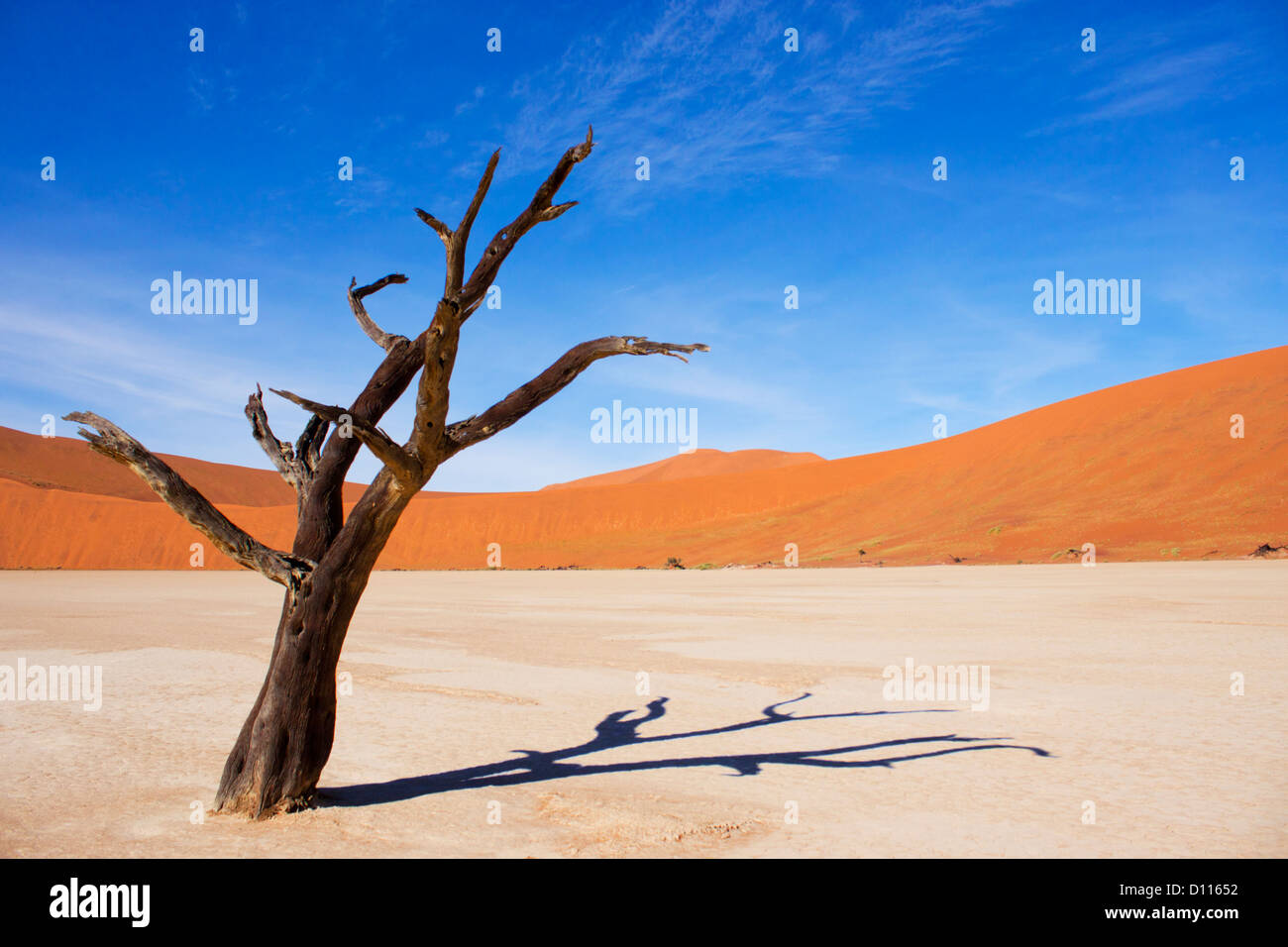 Amazing dead trees in beautiful desert. Stock Photo