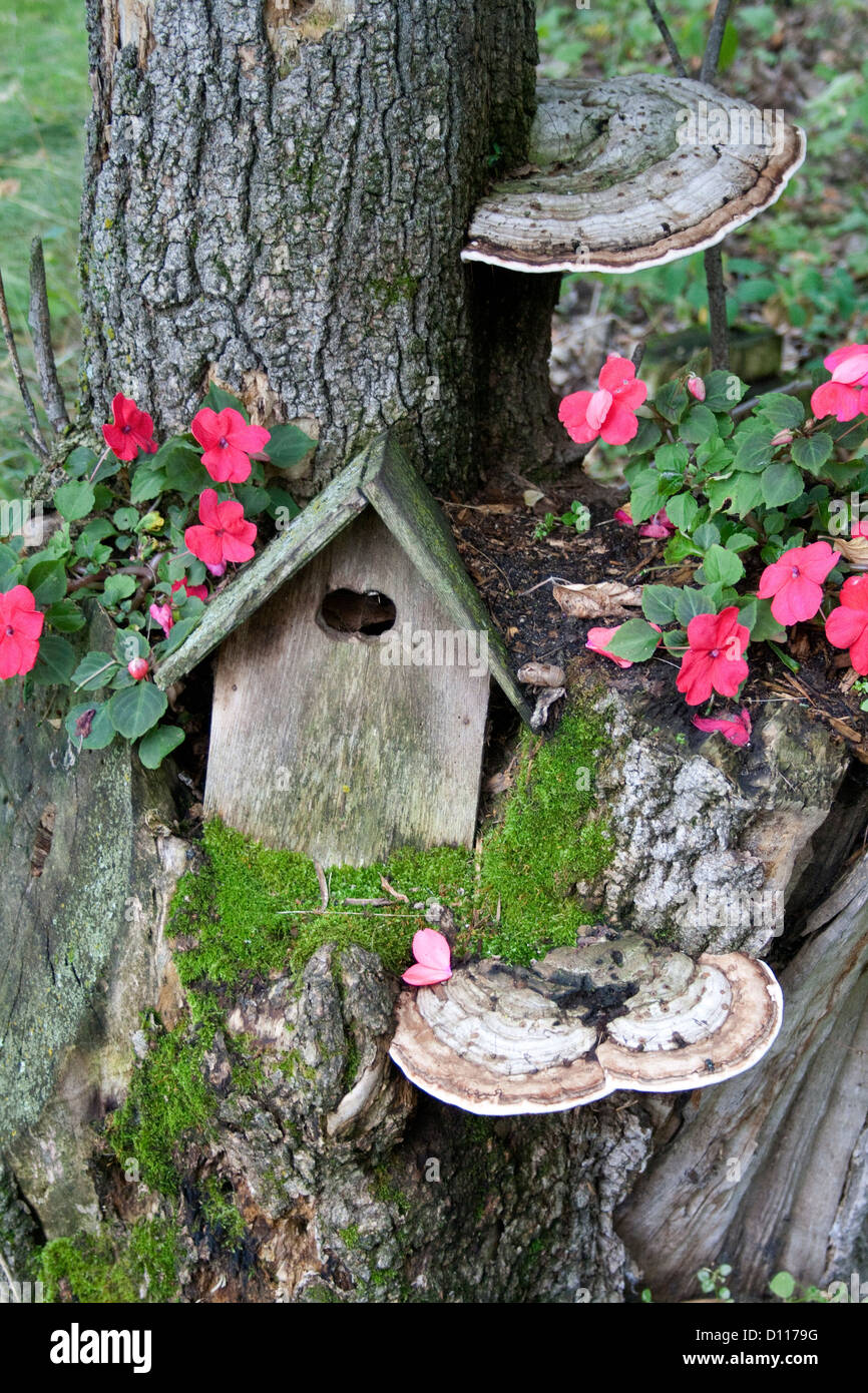 Birdhouse nestled into tree stump surrounded by moss, pink impatiens and large tree fungi growths. Clitherall Minnesota MN USA Stock Photo