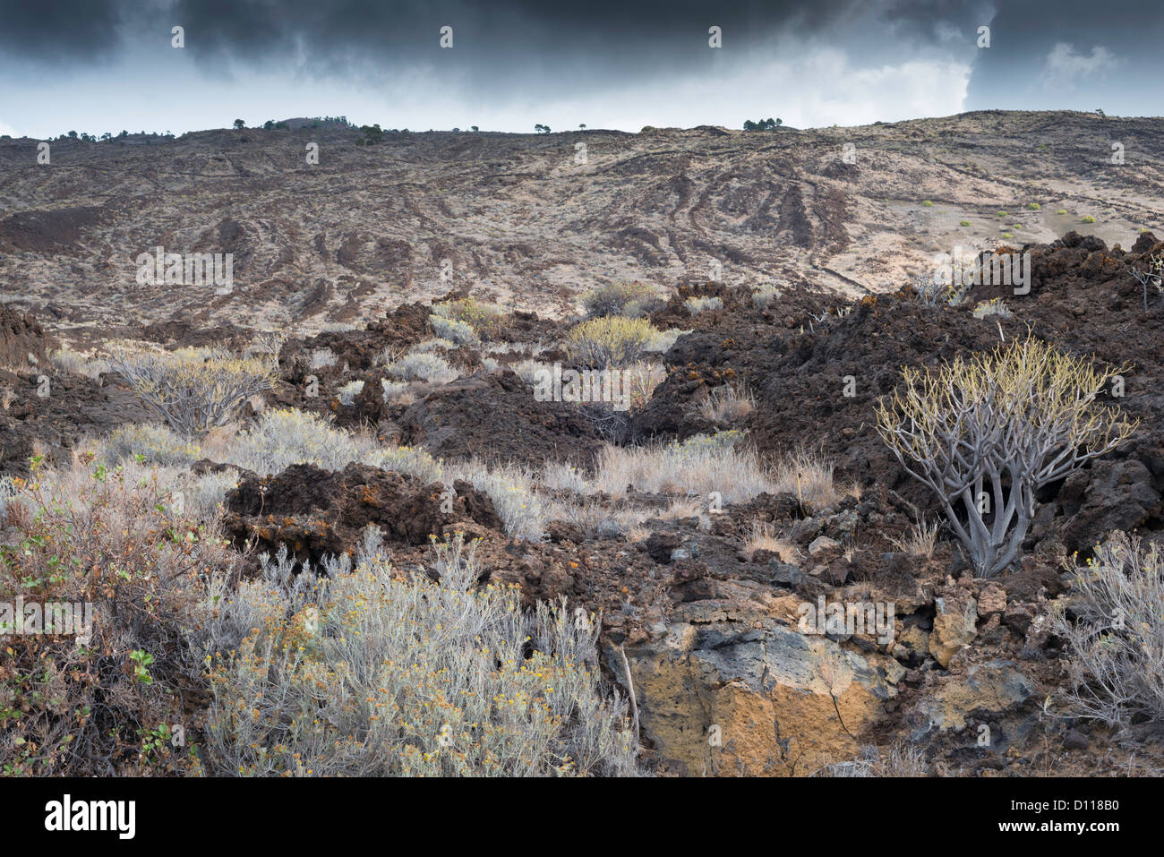 The collapse embayment of El Julan, covered by numerous later lava flows, Tacoron, El Hierro, Canary Islands, Spain Stock Photo