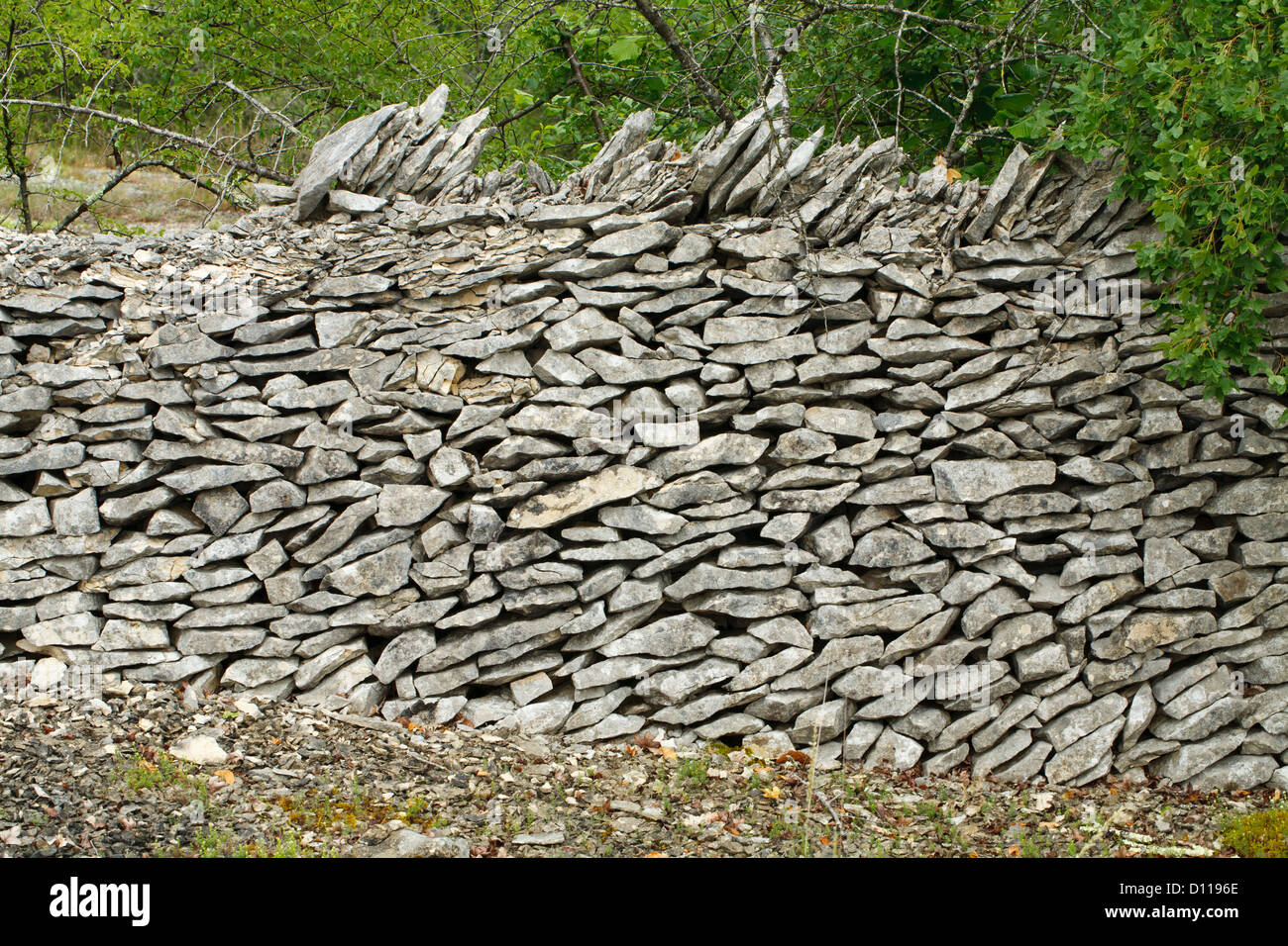 Decaying stone wall made of limestone, on the Causse de Gramat, Lot region, France. June. Stock Photo