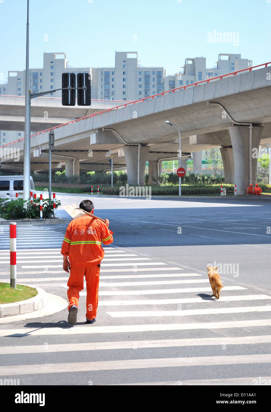 Shanghai Pudong modern city street workers with his dog walks home in late evening Stock Photo