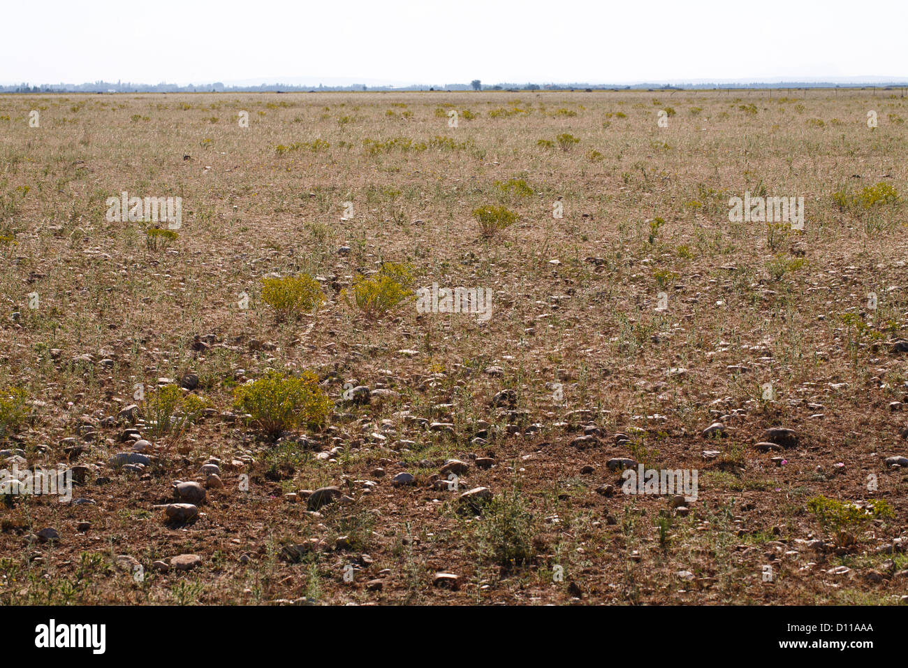 St Martin De Crau High Resolution Stock Photography And Images Alamy