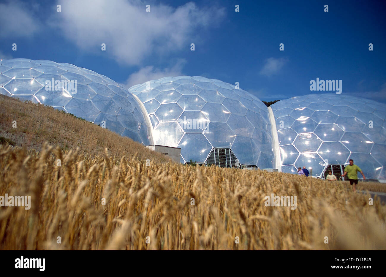 Domes at the Eden Project Bodelva, St Austell, Cornwall, United Kingdom Designed by Nicholas Grimshaw and Partners. Stock Photo